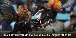 Khái quát một vài nét căn bản về giải đấu chọi kê CFE 