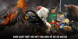 Khái quát một vài nét căn bản về đá gà WS168