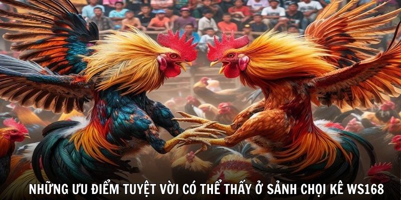 Những ưu điểm tuyệt vời có thể thấy ở sảnh chọi kê WS168