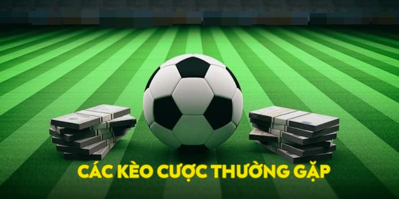 Các kèo cược thường gặp
