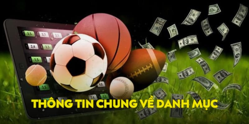 Thông tin chung về thể thao E2BET 