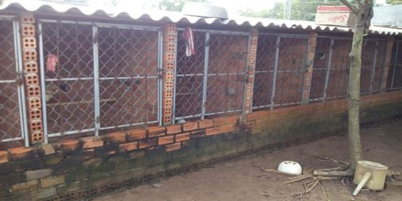 Làm chuồng bằng thép lưới B40 chắc chắn