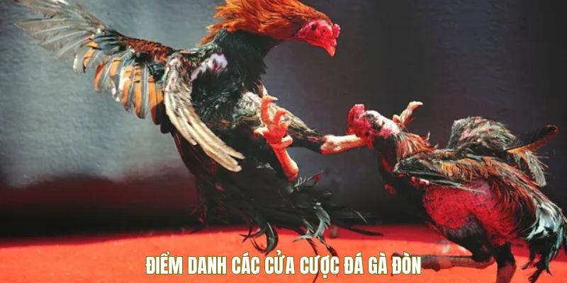 Đá gà đòn có các cửa cược nào?