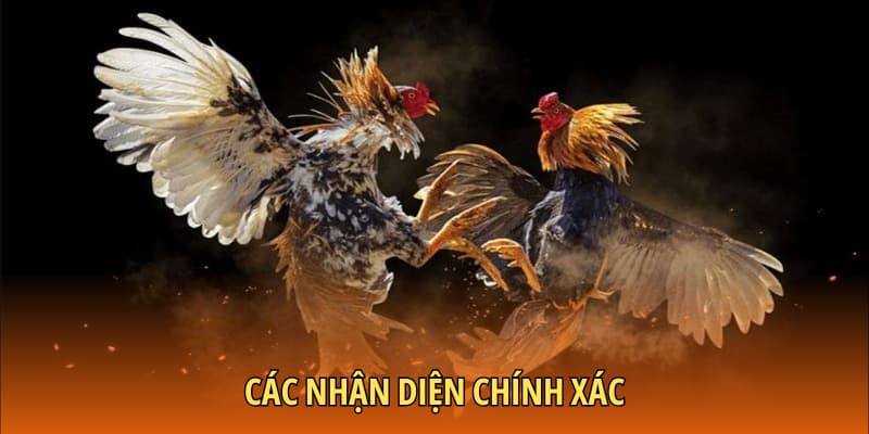 Các phương thức nhận diện
