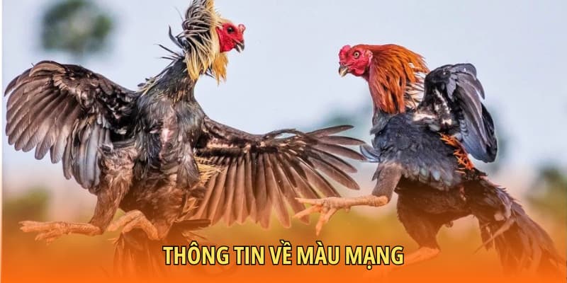 Đánh giá hệ ngũ hành