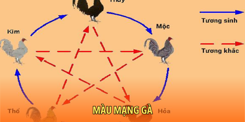 Tổng quan thông tin chung